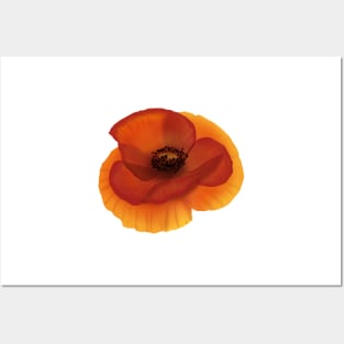 Remembrance day Posters and Art